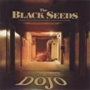 The Black Seeds - Into the Dojo